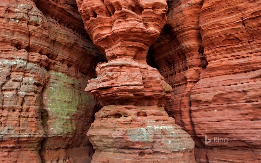 Eroded rock formations, Naturpark Pfälzerwald, Rhineland-Palatinate, Germany