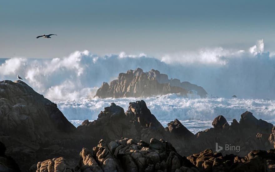 Huge waves crashing on rocks along Asilomar State Beach, Pacific Grove, California