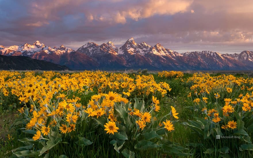 Teton Mountains, Grand Teton National Park, Wyoming, USA