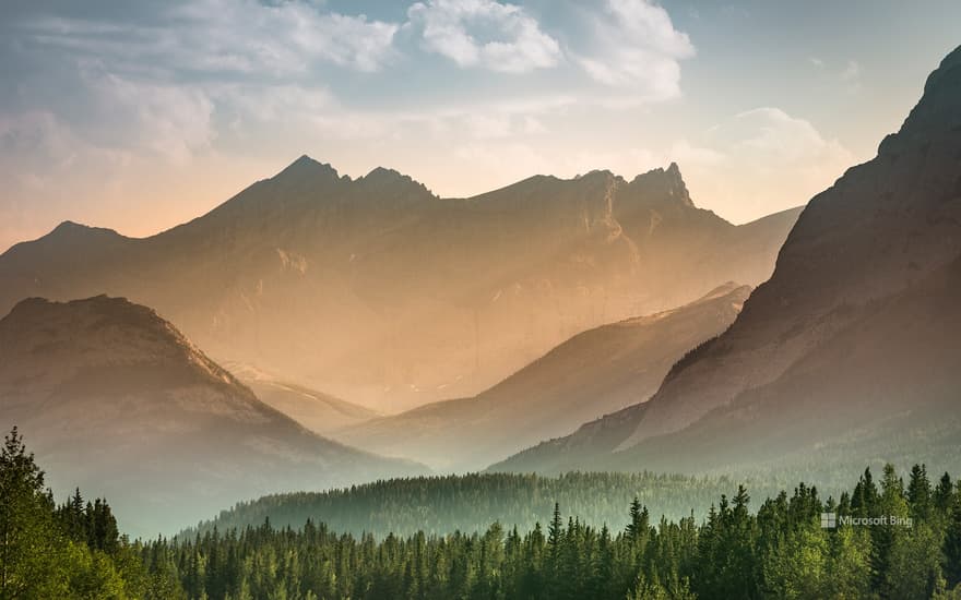 Mist rises over the forest in Banff National Park, Alberta