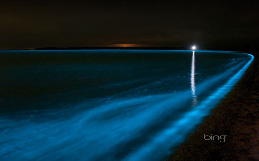 Bioluminescence in the Gippsland Lakes, Victoria, Australia