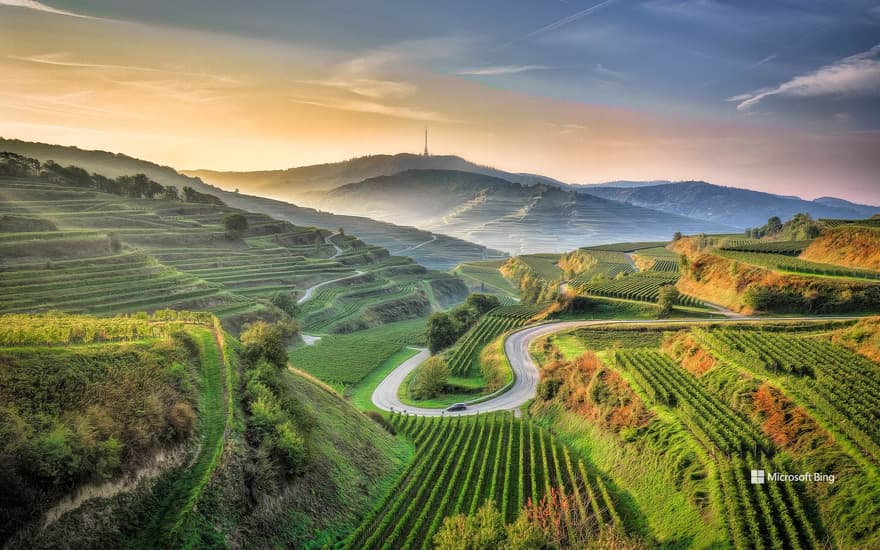Kaiserstuhl, Baden-Württemberg, Germany