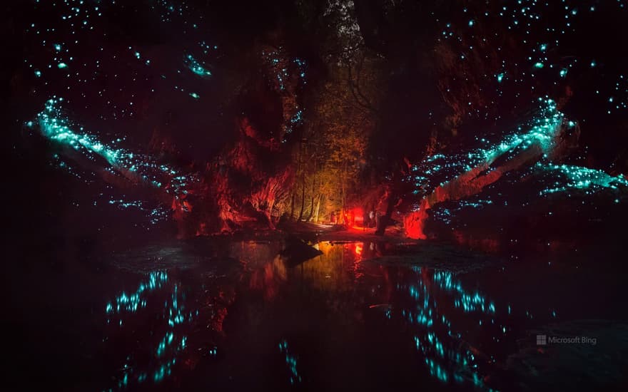 Glowworms in Blue Mountains National Park, Australia