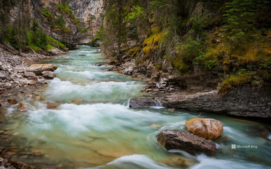 Water flows through Johnston Canyon in Banff National Park