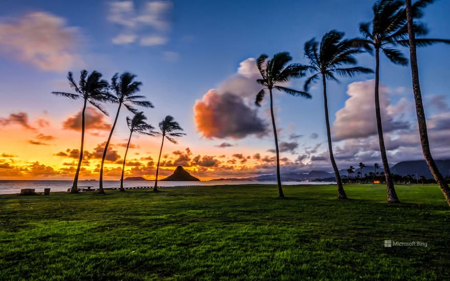 Mokoli'I Island in Kaneohe Bay, seen from Kualoa Regional Park, Oahu, Hawaii