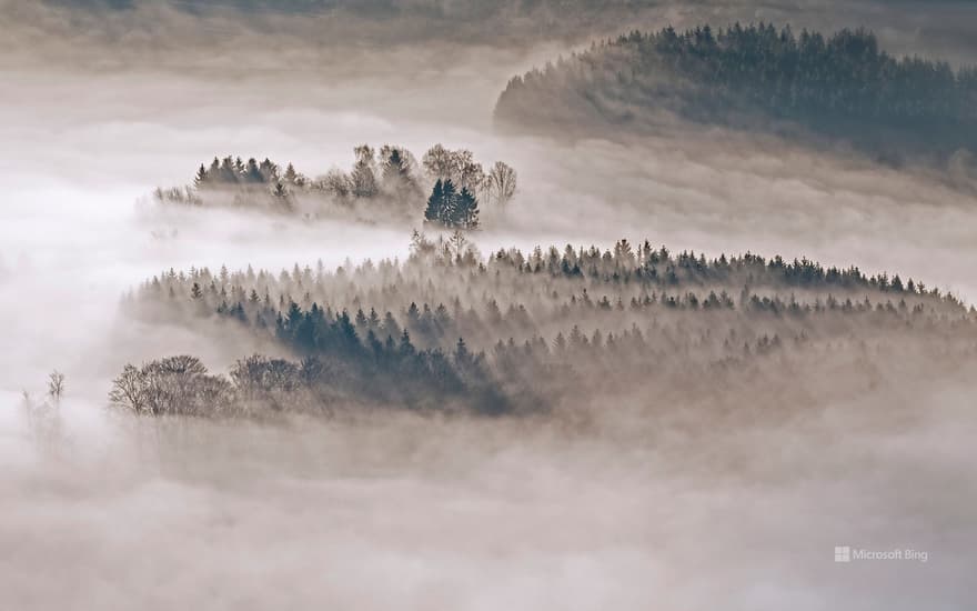 Hills forested with fir and spruce trees near Meschede, Sauerland, North Rhine-Westphalia