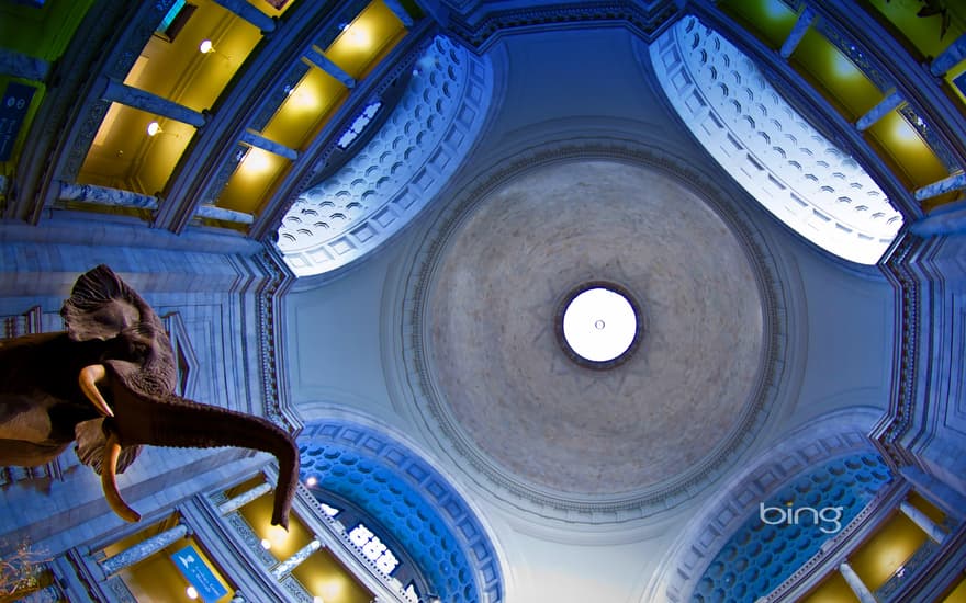 Rotunda of the Smithsonian Institution National Museum of Natural History in Washington, D.C.