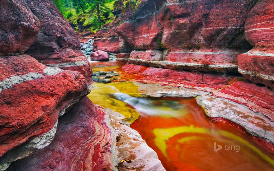 Mountain brook in Red Rock Canyon in Waterton Lakes National Park, Alberta, Canada