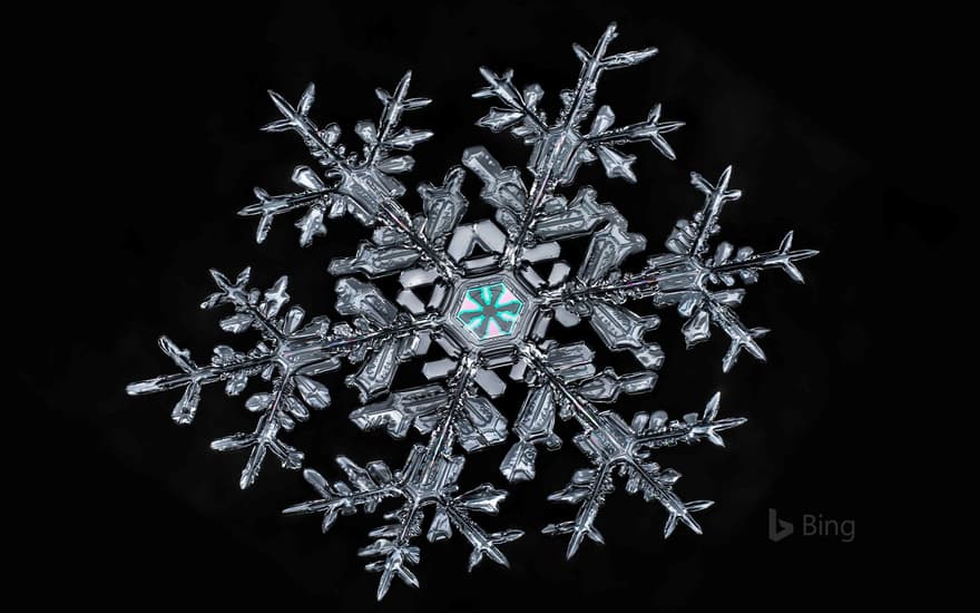 A snowflake