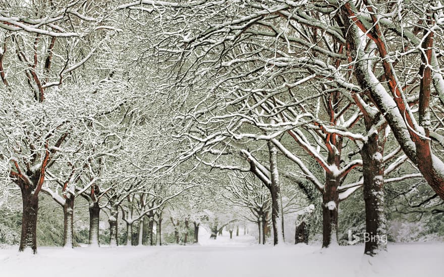 Southampton Common, England