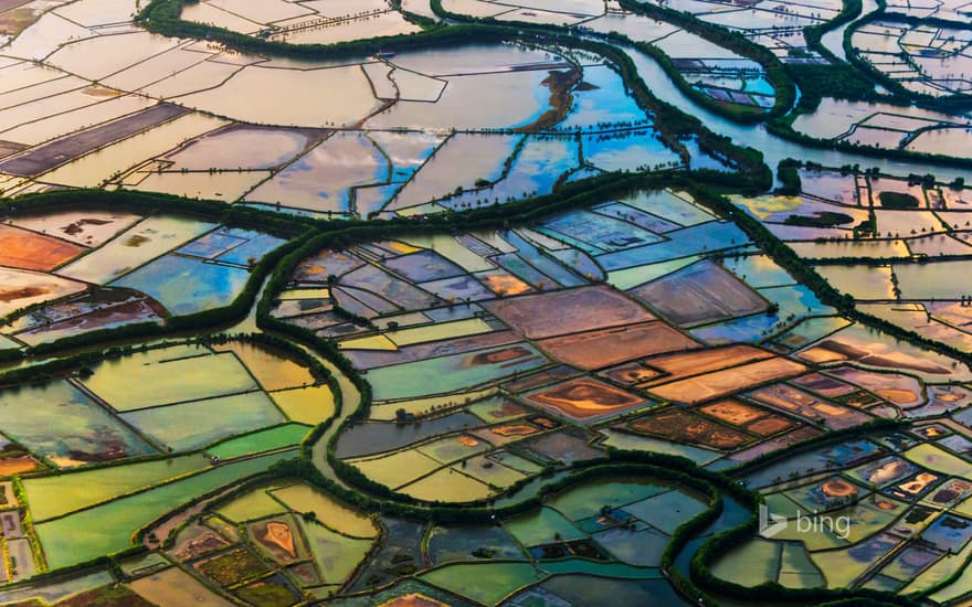 Farmland in Makassar, South Sulawesi, Indonesia