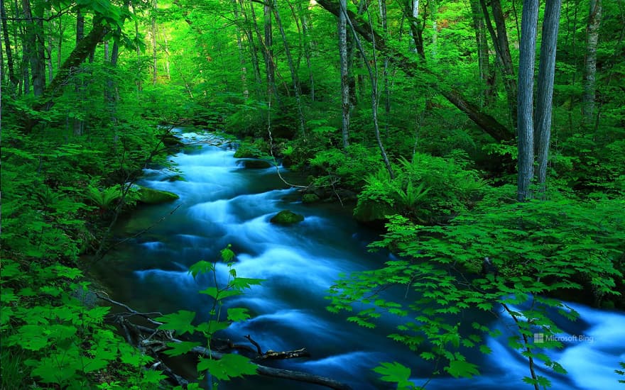 Oirase Gorge, Aomori Prefecture