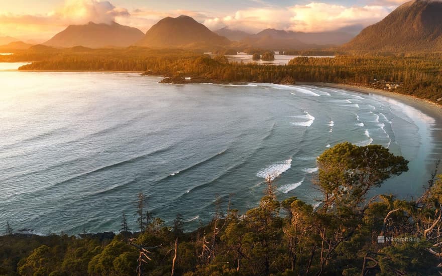 View of Tofino Bay, Vancouver, B.C.