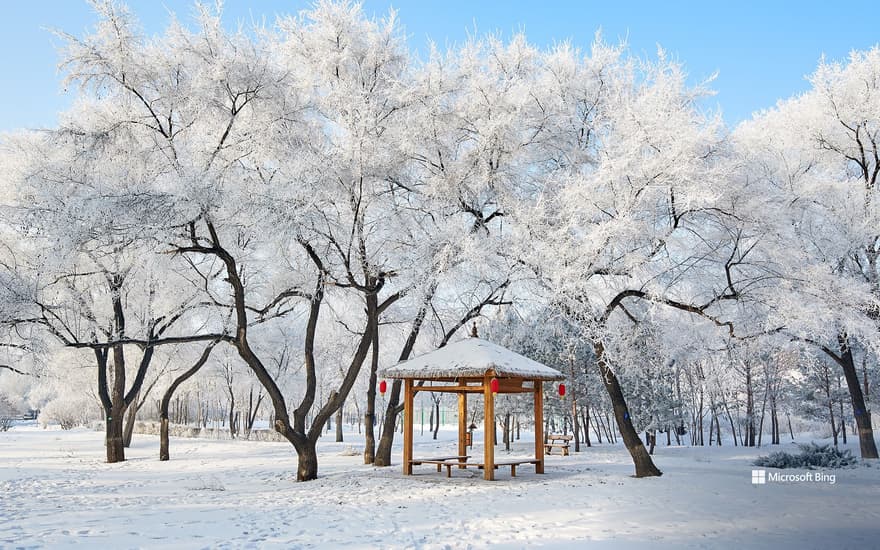 Beautiful rime ice scenery in Daqing City, Heilongjiang Province, China.
