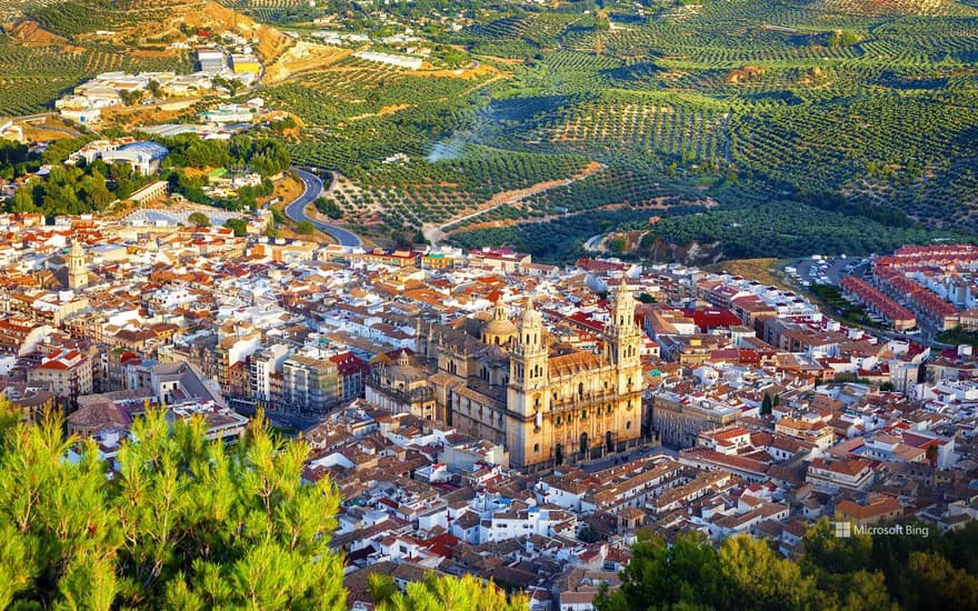 Cathedral of the Assumption, Jaén, Andalusia, Spain